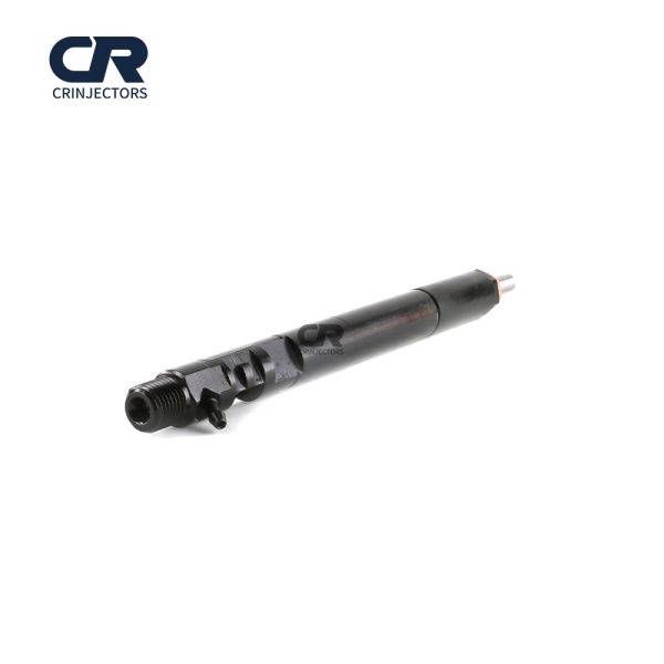 Common Rail EJBR03401D CR Fuel Injector