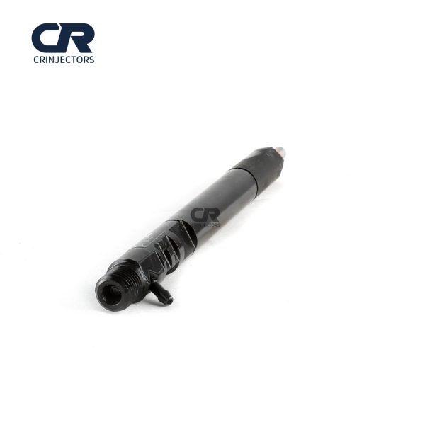 Common Rail EJBR04601D CR Fuel Injector