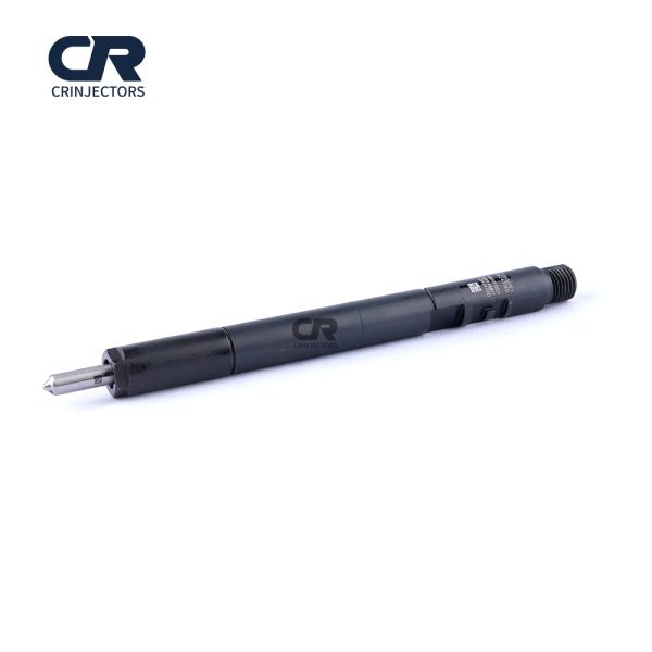 Common Rail EJBR04701D CR Fuel Injector