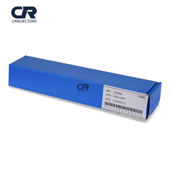 Common Rail EJBR05501D CR Fuel Injector