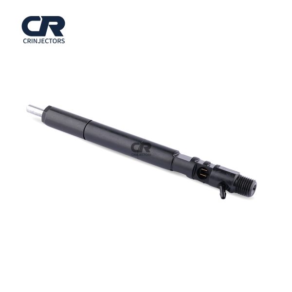 Common Rail EJBR04901D CR Fuel Injector