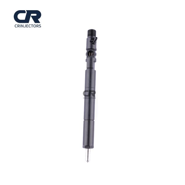 Common Rail EJBR04901D CR Fuel Injector