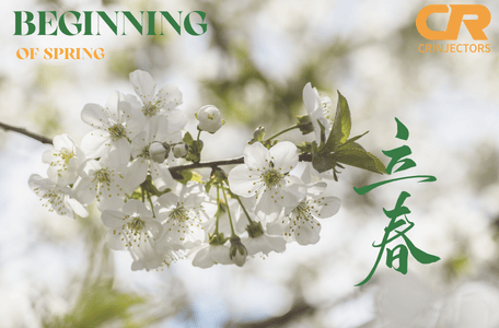 Common Rail 4954648 CR Fuel Injector Files